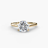 Completed Ring (United States Size 5.75)