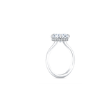 Serene Halo Bespoke Ring