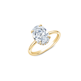 Serene Halo Bespoke Ring