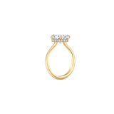 Serene Halo Bespoke Ring